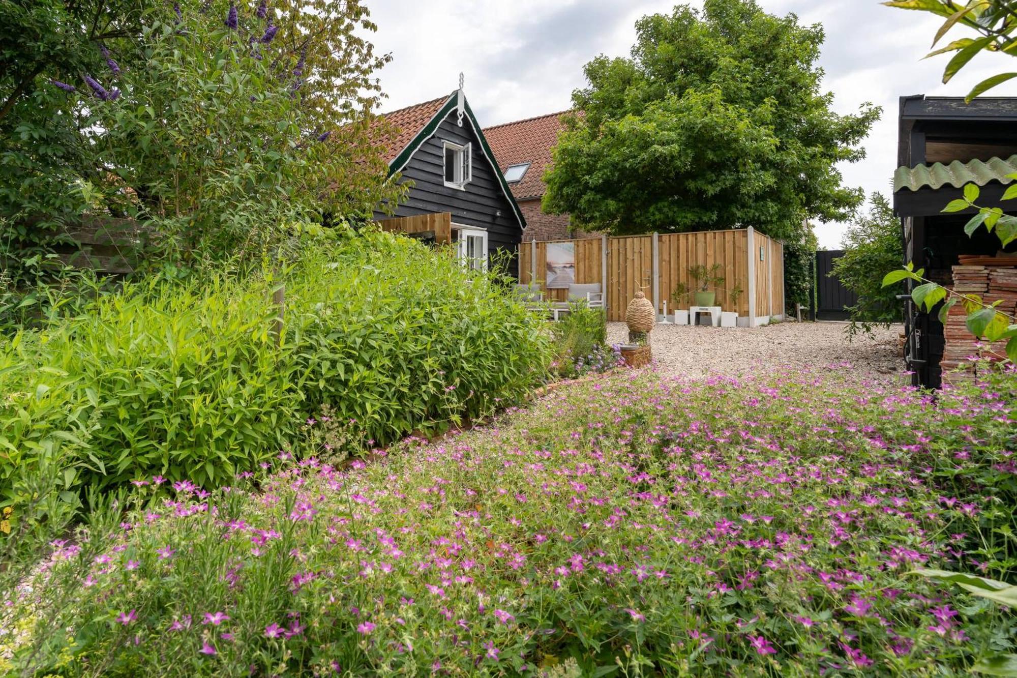 Hello Zeeland - Schoolstraat 6A Villa Vrouwenpolder Ngoại thất bức ảnh
